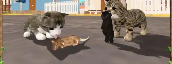 🐾 Cat Sim Online Play with Cats SellUnitySourceCode