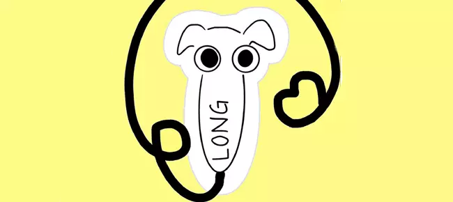 🐶 Long Punch Nose Dog SellUnitySourceCode