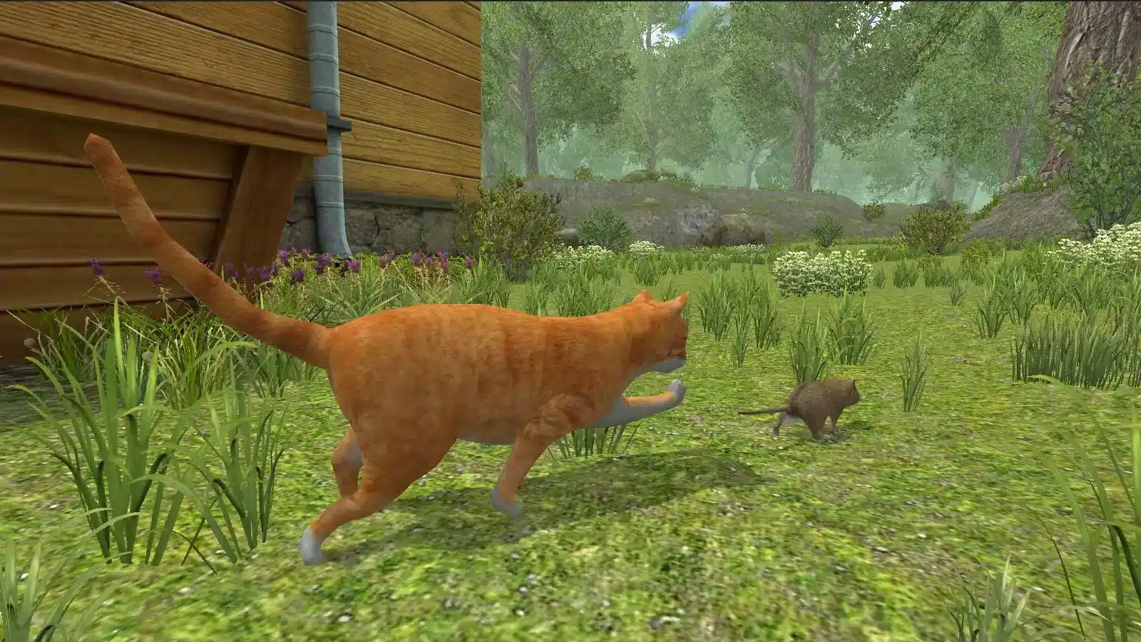 Mouse Simulator : Forest Home SellUnitySourceCode screenshot 3