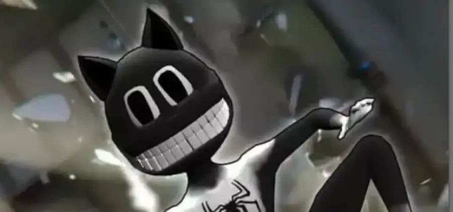 Spider Cartoon Cat