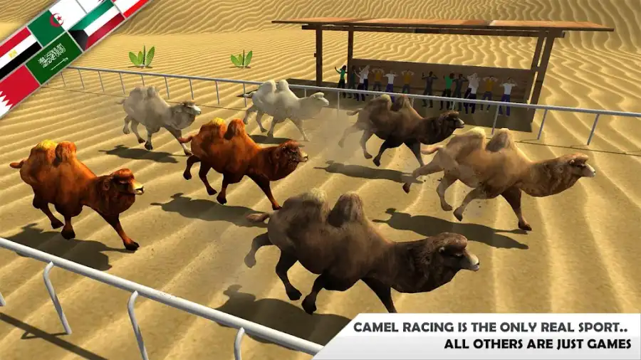 Wild Camel Racing Simulator SellUnitySourceCode